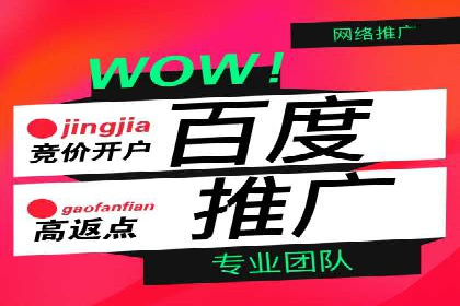 百度竞价推广代运营成功案例深度剖析